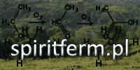 Spiritferm